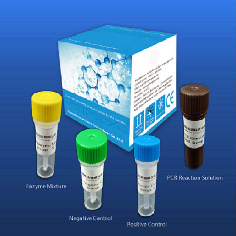 Reagent Diagnostic Test Kits Rau Covid-2019 Nyob ntawm Real-time Pcr Platform